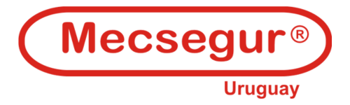Mecsegur Seguridad Electronica